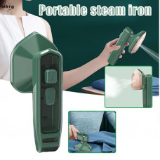 Professional Mini Electric Steam Iron