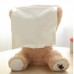 Peek-a-Boo Teddy Bear Plush Toy Playing Hide and Seek Sing Music
